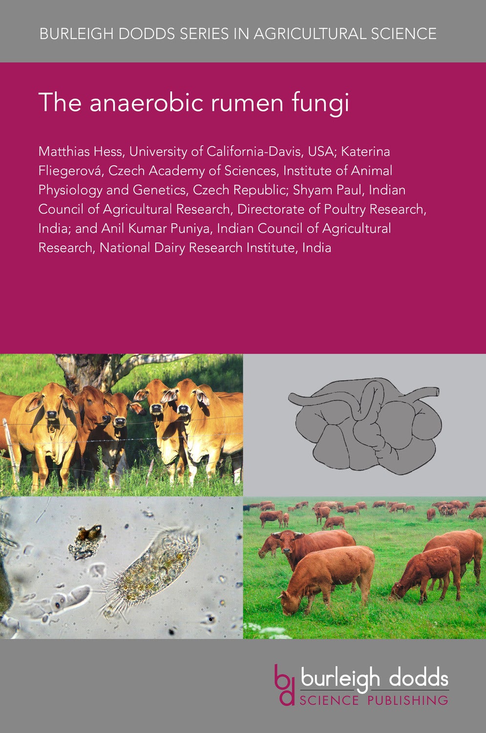 Book cover image for The anaerobic rumen fungi ISBN: 9781786767981